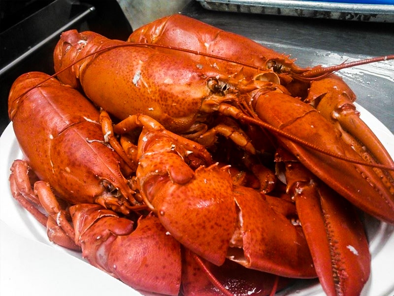 Dining S S Lobster Ltd [ 600 x 800 Pixel ]